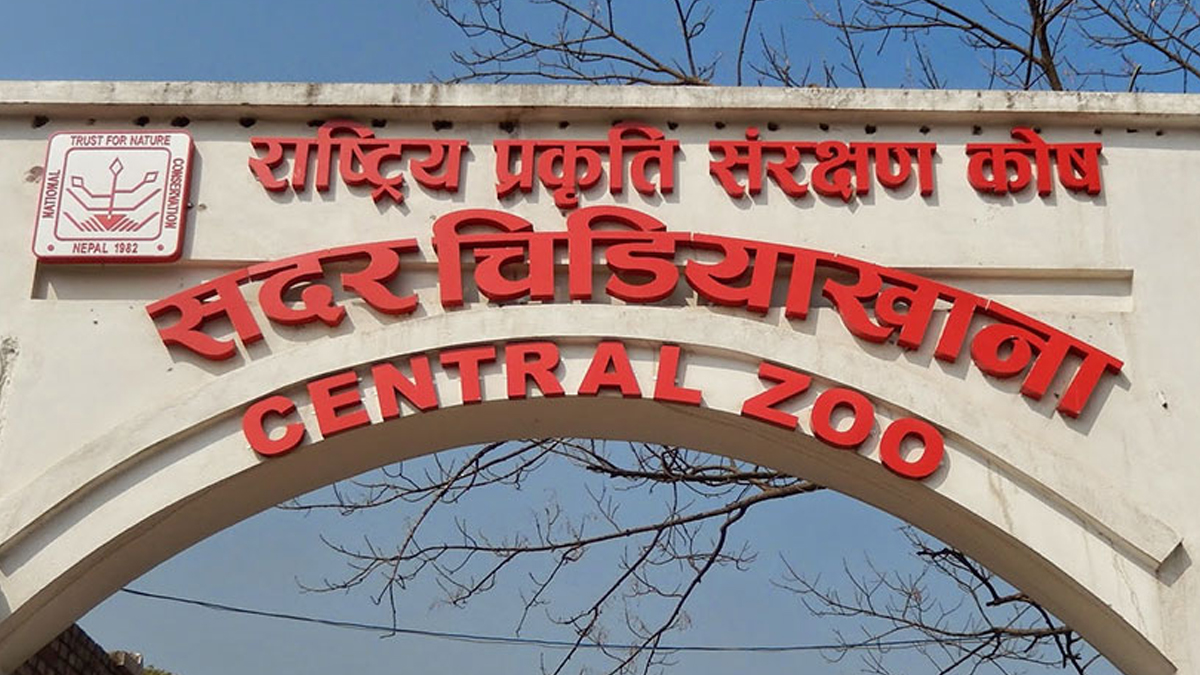 चिडियाखानाले उद्धार गर्नुपर्ने जीवजन्तु घटे